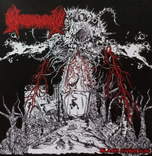 Narsamum : Black Dying Sun